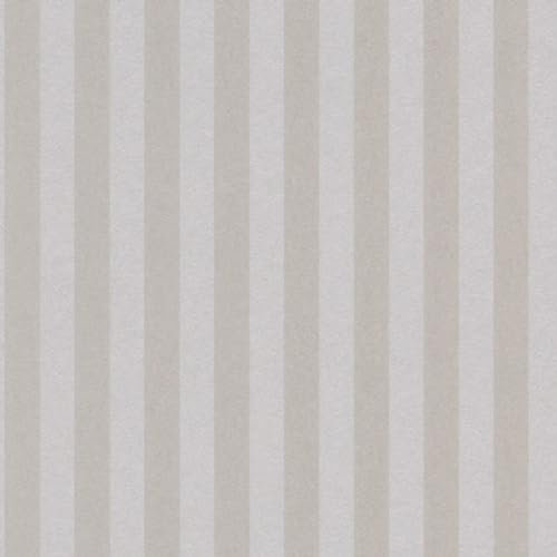 Casa Padrino Barock Textiltapete Beige/Silber 10,05 x 0,53 m - Barock Tapete mit Streifen