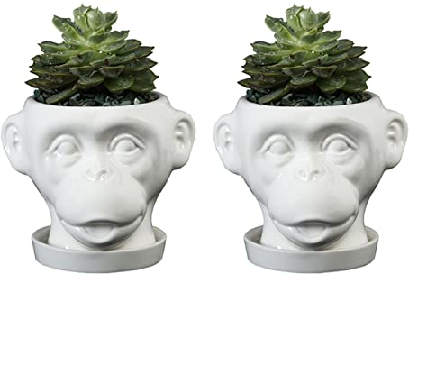 WMDSYGD 2 stücke AFFE Blumentöpfe Keramik Pflanzgefäße for Sukkulenten Pflanzen Töpfe Mini Bonsai Container Home Garten Desktop Dekoration Gartentöpfe