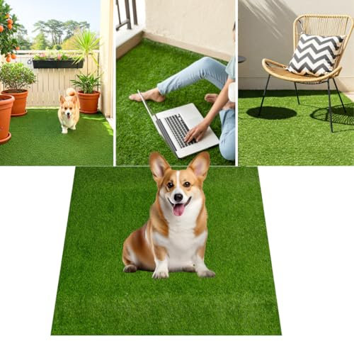 TAPISO Canyoo Rasenteppich Kunstrasen Grün - Höhe:30 mm Meterware für Garten Balkone Terrassen Wintergärten 100 x 200 cm