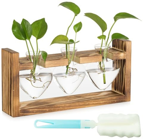 ELLECILA Glass Propagation Station for Plant: Heart Small Flower Vase with Vintage Wooden Frame Set, Propagators for Plants, for Green Water Plants Fit for Home Kitchen Table Desk Indoor Decor