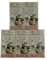 Set 5 x24 Räucherkerzen Knox (Größe M) Weihnachtliche Gewürze/Mischungen/Klassisch Herb/Exotisch (Vanille 013230)
