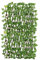 CapitanCasa Treillis Feuilles Escalade Extensible Brise Vue Terrasse Jardin Potos