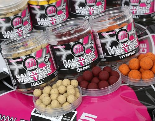 Mainline Dedizierte Basismischung, ausgewogene Wafters: Zelle: 18 mm