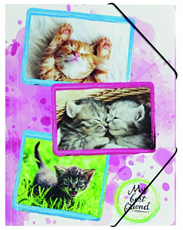 Pagna 21671-15 Gummizugmappe A3 Katzen (Dokumentenmappe, PP, Eckspanngummi)