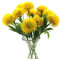 Yalulu 10 Stück Künstliche Blumen Löwenzahn Plastikblume Bündel gefälschte Blumen Dekor für Hochzeit Zuhause Wohnung Büro Party (Gelb)