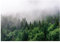 WallArena Papier Peint Foret de Sapin Nature Arbres Brume Chambre Salon Photo Non Tissé Résistant Aux UV Inodore Haute Résolution Prêt pour le montage Wallpaper (13907, VEXL (208x146 cm) 2 lés)