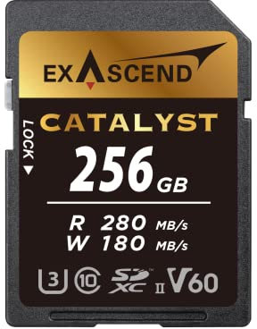 Exascend Catalyst 256GB SDXC Karte (UHS-II, V60) – Bis zu 280 MB/s Lesen, 180 MB/s Schreiben – Für 4K/6K Video, DSLR & spiegellose Kameras, Serienbildaufnahmen