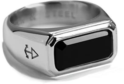 Rock and Steel Silber Siegelring wild Männerring aus Edelstahl mit Onyx Stein, Herren-Ring (69 (22,0 mm))