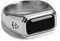Rock and Steel Silber Siegelring wild Männerring aus Edelstahl mit Onyx Stein, Herren-Ring (69 (22,0 mm))