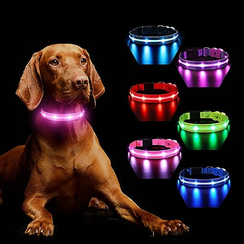 MASBRILL Collier Lumineux Chien, Collier Chien LED Rechargeable avec 7 RGB Couleurs 8 Modes D'éclairage, Réglable et Etanche Clignotant Collier Chien pour Petits Moyens Gros Chiens, Rose-M