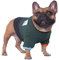 iChoue Haustier-Hundepullover mit Rundhalsausschnitt, Farbblock-Pullover, Winterkleidung, warme Kleidung für Englische Bulldogge, Boston Terrie, Grün und Schwarz/L+
