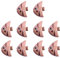 Resin Nail Charms Charms Flat Back Nail Rhinestone 3D Oceans Nail Art Charms Nail Dee Craft Nail Decoration Jewelry
