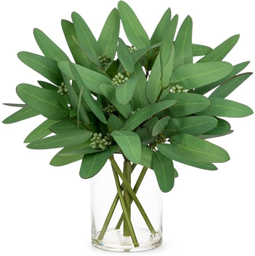 Briful Künstlicher Eukalyptus im Glas mit Kunstwasser – Eukalyptus Kunstpflanze Wie Echt in Vase, Moderne Tischdeko & Wohnzimmer Deko, Grünpflanze, 35 cm