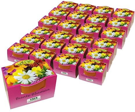 Bull & Bear 25er Set Minipflanzset Bunte Blumen, Blumensamen im Topf 40mm, Mini Blumen als Anzuchtset mit Pflegeanleitung