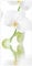 Bilderwelten Raumteiler Top Blumen Raumtrenner Orchidee Blumen 250x120cm + transp. Halterung