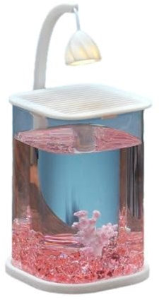 Aquarium De Bureau avec LED Veilleuse, Terrarium en Verre Mini, Fish Tank Conteneur pour Petits Animaux, Combattant Crevette Poisson Rouge, Décor Chambre