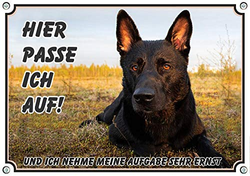 Petsigns Hundeschild schwarzer Deutscher Schäferhund - uv-beständiges Warnschild aus Metall, DIN A5