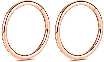 hengkaixuan 10G 2Pcs G23 Titan Nase Hoop Ring Higned Segment Clicker Ring Nahtloser Nasenring Septum Schmuck Conch Hoop Knorpel Helix Tragus Hoop Ohrringe Hoop Sleeper Piercing Schmuck 14mm Roségold