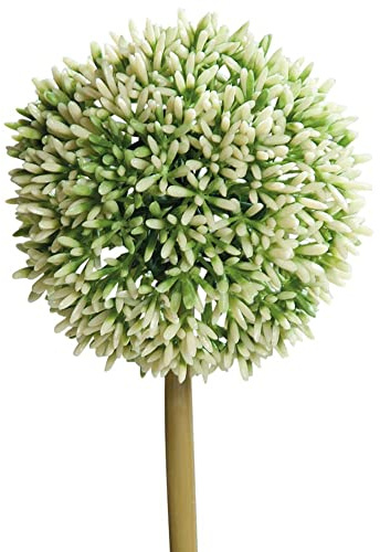 matches21 Lauchblüten Allium Kunstblumen für Blumengestecke künstliche Blumen Kunststoff 1 STK Ø 11x67 cm - weiß-grün