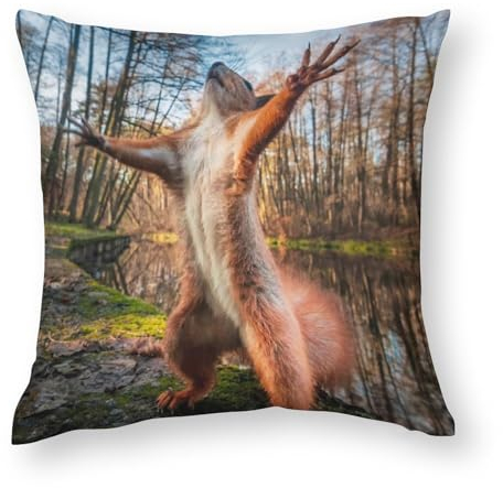 NIBABA Kissenbezüge, 1 Stück, lustiges Tier, rotes Eichhörnchen im Wald, dekorative Kissenbezüge, 55 x 55 cm, weiches Polyester, quadratisch