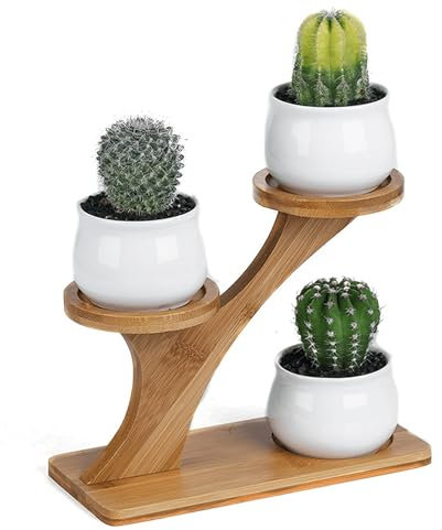 Simcat 3pcs Ceramics Succulent Pots with 3 Tier Bamboo Saucers Stand Holder,Ceramic Flower Planter Pot with Drainage, Mini Cactus Plant Pot for Home Garden Decoration,Plants Not Included (Style one)