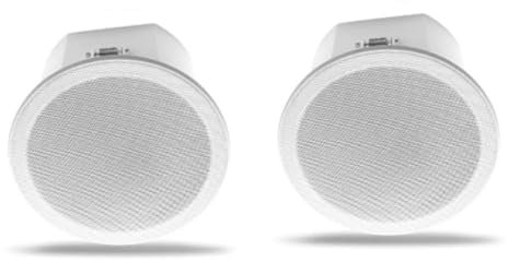 Hxhsgmeh Built-in Amplifier Full Range Bluetoothback Cover Home Theater Background Music Ceiling Speaker(B)