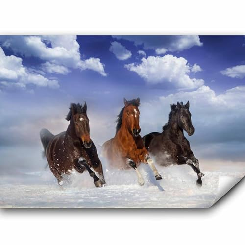 murando - Fototapete selbstklebend Pferde, 98x70 cm, Schlafzimmer, Full HD | Selbstklebend ohne Kleister, Full HD Druck, ideal fürs Wohn- oder Schlafzimmer, schnelle Montage, lichtbeständig, geruchsfrei