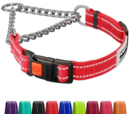 CollarDirect Reflektierendes Hundehalsband, Martingale-Halsbänder, seitliche Schnalle, Kette Training, verstellbare Haustier Halsbänder (Orange, M, 35-42 cm)