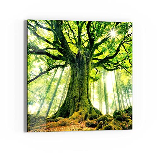 DEQORI Glasbild Echtglas | Motiv Eindrucksvoller Baum | quadratisch einteilig 50x50 cm | schöne Dekoration | Wandbild für Wohnzimmer, Schlafzimmer, Flur & Küche | moderne Wanddeko
