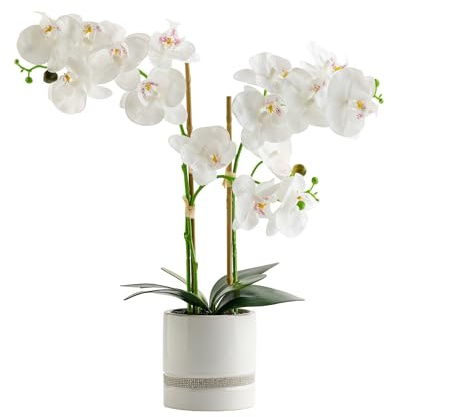 home&you - Kunstpflanze Orchibitto, Orchidee im Topf, Kunstblume, Dekopflanze für Wohnzimmer, Schlafzimmer, Fensterbank, Frühlingsdeko, Blumendeko, 50x21x40 cm - Weiß