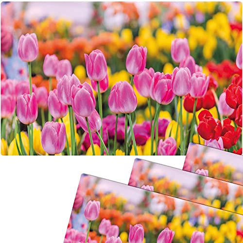 matches21 Frühlingshafte Tischsets Platzsets Motiv abwaschbar Pinke Tulpen Blumenwiese bunt 4er 43,5x28,5 cm