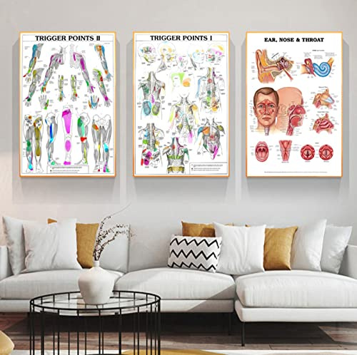 Human Anatomy Trigger Points Chart Informational Canvas Painting Poster Prints 3 Pieces Wall Art Picture Living Home Room Decor 40Cmx60Cm Kein Rahmen