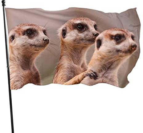 Fahne 90X150cm Tier Drei Braune Erdmännchen Garten Fahnen Mit Metall-Ösen Hanging Flag Lichtbeständige Fahnenkette Flaggen Für Draußen Aktivitäten Parade