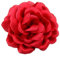 Broches Délicates En Forme De Pivoine Rose Délicate Classique Pour Fête De Mariage Danse Banquet Pour Femme Épinglettes Robe Costume Vêtements Accessoires Bijoux Cadeaux De Noël 95 mm (Rouge)