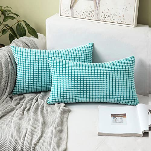 MIULEE 2er Set Kissenbezüge Kordsamt Dekokissen Kissenbezug Sofakissen Dekorativ Couchkissen Kissenhülle Bezug Weich für Wohnzimmer Schlafzimmer 12x20 Inch, 30x50 cm Hellblau