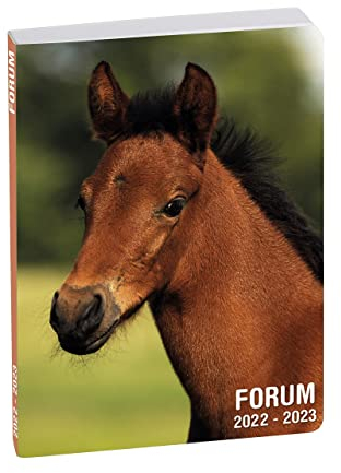 Exacompta - 187783E – Tageskalender Forum Tiere – bedruckter und umrandeter Einband – 12 cm x 17 cm – August 2022 bis Juli 2023 – Motiv Pferd
