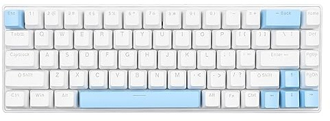 SUNGOOYUE Wired Compact Mechanical Keyboard 68 Tasten RGB Backlight Blue Switch Anti Ghosting für (Weißblau)