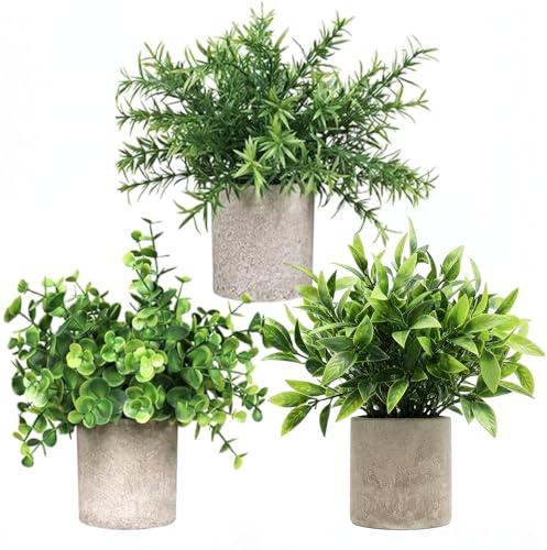 RV MURTS 3 Set Artificial Plants Indoors for Bedroom, Small Plastic Potted Plants, Fake Eucalyptus in Pots, Rosemary, Mini Faux Plant for Office, Desk, Bathroom, Kitchen, Home Sill Decoration Summer.