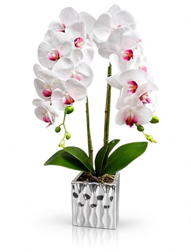 PASCH® XXL Orchideen künstlich in silbernem Keramiktopf (65cm) | Kunstblumen im Topf | Kunstblumen wie echt | künstliche Orchideen im Topf | künstliche Blumen im Topf (Weiß-Silber)