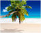 Wallario Poster - Südseestrand in der Karibik mit Palme in Premiumqualität, Größe: 40 x 50 cm