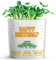 GIFT A GREEN Grußkarte mit Aufschrift Happy Birthday, mit Bio-Mikrogreens. Genau wie eine Postkarte, einfach versenden und den Empfänger wachsen und essen, Karten für alle Anlässe, 1 Stück