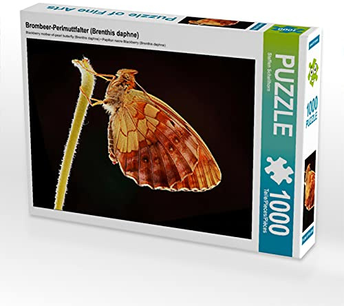 CALVENDO Puzzle Brombeer-Perlmuttfalter (Brenthis Daphne) | 1000 Teile Lege-Größe 64 x 48 cm Foto-Puzzle für glückliche Stunden