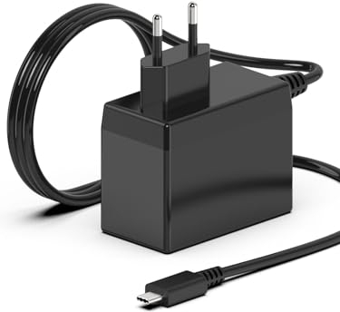 39W USB-C Caricatore Alimentatore Per Nintendo Switch/Switch Lite/Switch OLED Adattatore di Alimentazione Supporta TV Dock USB C Caricabatterie C0060