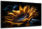 DARO Design - Wand-Bild auf 6mm HDF 84x56 cm Sonnenblume Abstrakt - Wand-Deko Bilder Geschenk