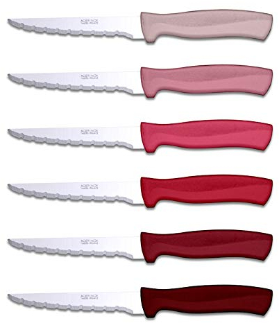 TB Groupe - Set de 6 Couteaux à Steak Record - Lames en Acier Inox - Manches en ABS, Couleurs Assorties - Fabriqués en France - Rouge