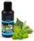 FRESH AURA Saunaaufguss – Sauna Aufgussmittel mit Eisminze, Birke, Fichtennadel – Sehr ergiebiger und langanhaltender Saunaduft mit natürlichen ätherischen Ölen | Made in Germany (100ml)
