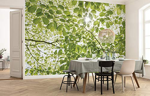 Komar Vlies Fototapete IM FRÜHLINGSWALD | Tapete, XXL, Dekoration, Natur, Landschaft, Schlafzimmer, Wohnzimmer, Büro, Flur | Größe 250 x 280 cm (Breite x Höhe) | SHX5-045