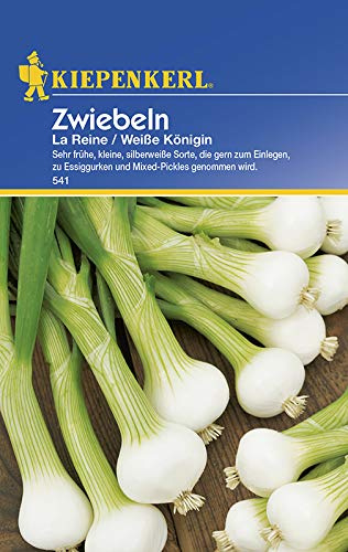 Kiepenkerl 541 Zwiebel La Reine/Weiße Königin (Zwiebelsamen)