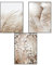 SWECOMZE 3er Premium Poster Set, Stilvolle Wandbilder, Boho Beige Natur Strand Pampasgras Kunstposter OHNE Rahmen, Print Bilder Wandposter Home Deko (Stil C,20 x 30 cm)