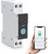 Smart WIFI Switch Interruttore Domestico Telecomando per Telefono Cellulare 3 Modalità di Temporizzazione per Elettrodomestici(10A)